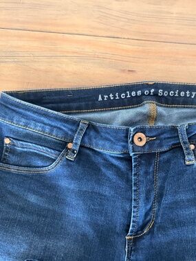 Articles of society, Jean size 29